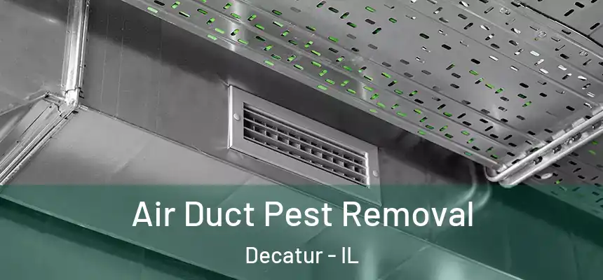  Air Duct Pest Removal Decatur - IL