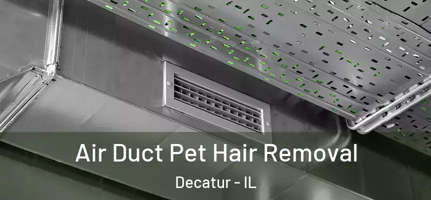 Air Duct Pet Hair Removal Decatur - IL