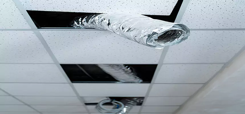 Our Air Duct Pet Hair Removal Services in Decatur, IL