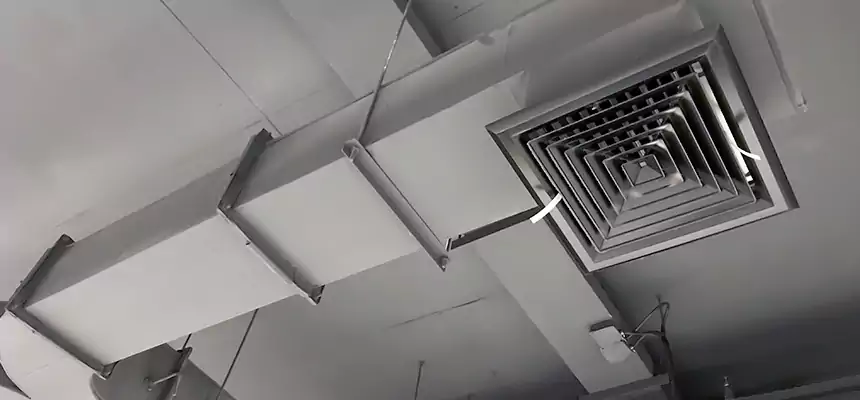 Restorative Allergy Relief Vent Cleaning – Coil, Blower & Housing Detail in Decatur