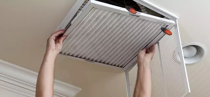Our Insect Removal from Air Ducts Services in Decatur, IL