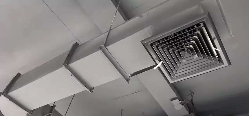 Our Pest Removal From Ducts Services in Decatur, IL