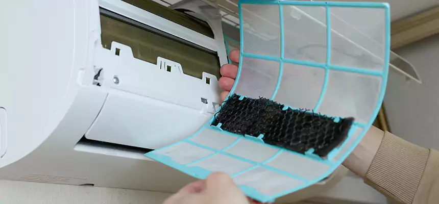 Gentle Ductwork Odor-Control Pet Dander Duct Cleaning in Decatur, IL