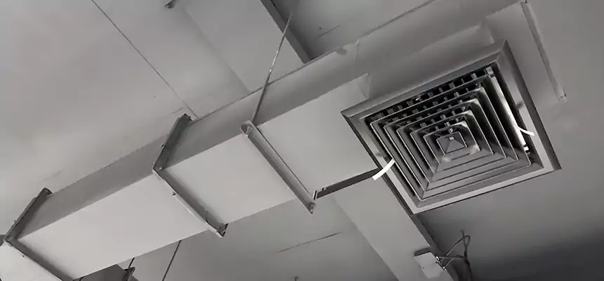 Our Rodent Droppings In Vents Services in Decatur, IL