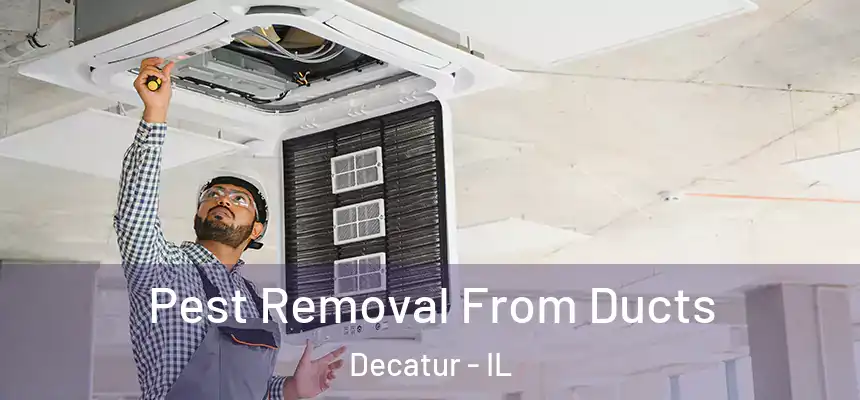 Pest Removal From Ducts Decatur - IL