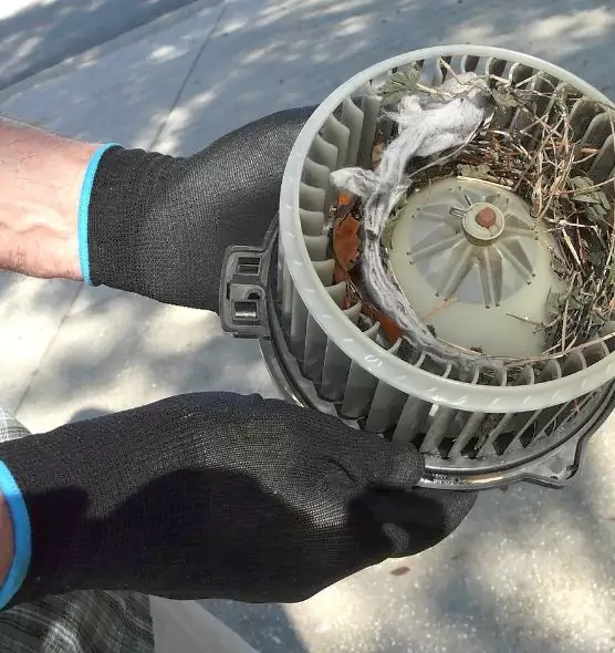 About Air Duct Mice Removal in Decatur, IL