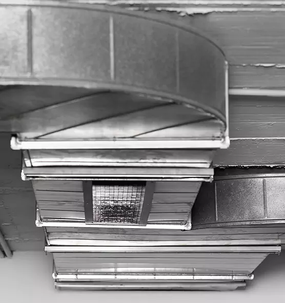 Professional Air Duct Pet Hair Removal in Decatur, IL