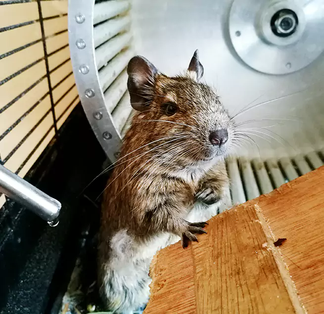 Why Homeowners & Businesses Trust Us Decatur, IL