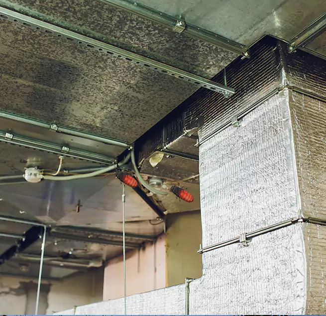 Why Homeowners & Businesses Trust Us Decatur, IL?