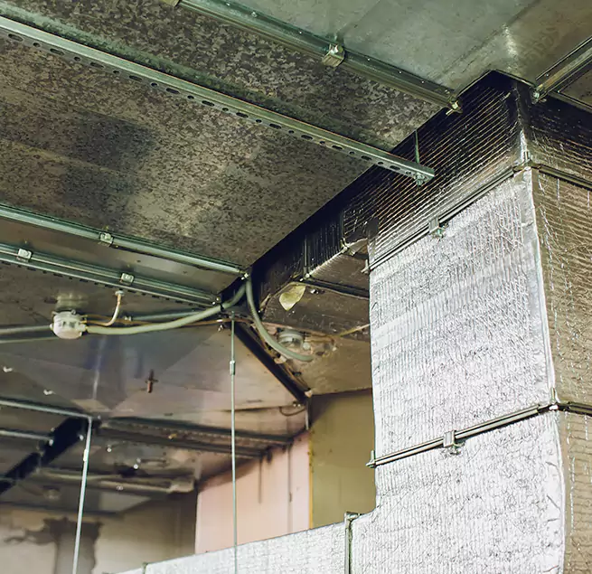 Why Homeowners & Businesses Trust Us in Decatur, IL?